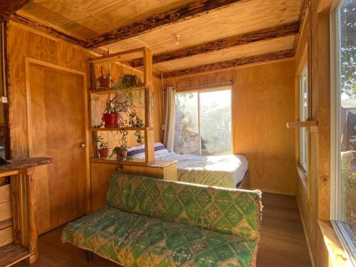 Luis Soto House | Refugio nativo