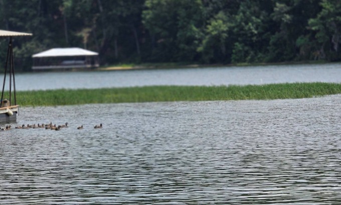 Abbeville House | Relax, Fish, Repeat- Your Lakefront Vacation Starts Here