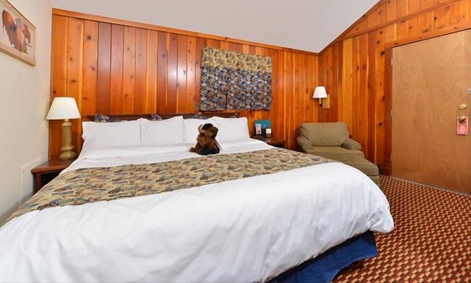 Cody House | Relax & Unwind! On-site Pool and Restaurant, Close to Shoshone National Forest!