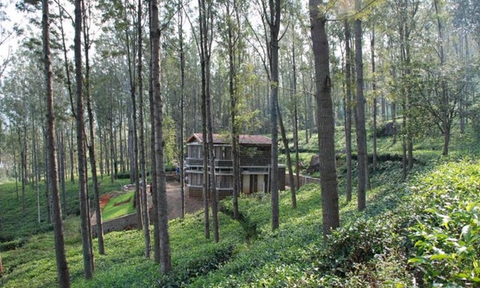 Masinagudi House | Relaxing 2 B/R Estate House, Deenaty, Tamil Nadu