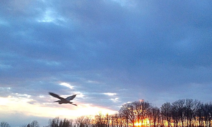 North Hero Cottage | Relaxing cottage on Carry Bay boasting beautiful sunsets.