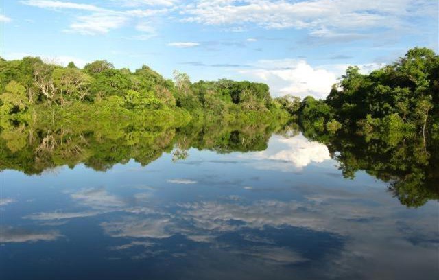 Leticia Cabin | Reserva Natural Heliconia Amazonas