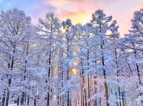 Myoko Hotel | Resort Project Myoko Kogen Hot Spring