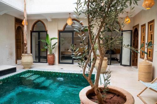 Medina House | Riad Eden Dorient