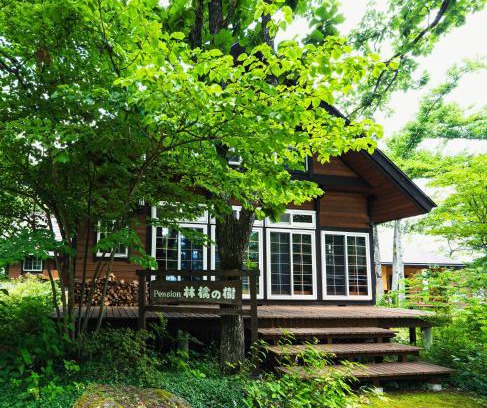 Hakuba Cabin | Ringo Lodge Hakuba