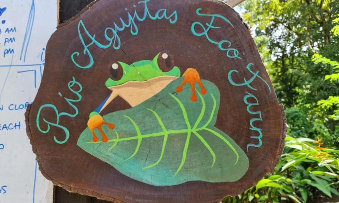 Drake Bay Apartment | Rio Agujitas Eco jungle - Island and Corcovado tours