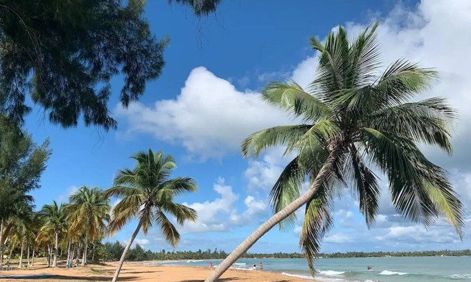 Zarzal Condo | Rio Mar Area Deluxe Pool Condo. Private Beach Gate. Rainforest. No Cleaning Fee.