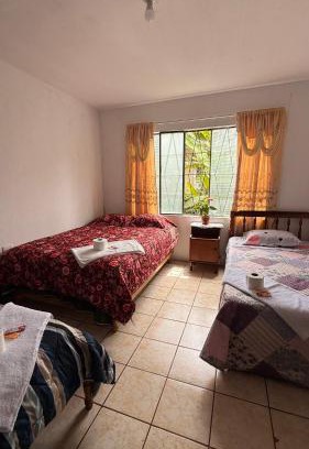 Oxapampa Apartment | Rocco house