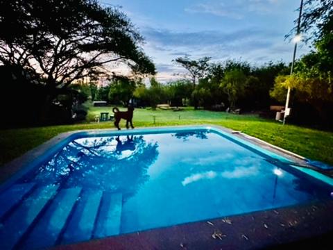 Bela-Bela House | Rockey Mountain Bush lodge