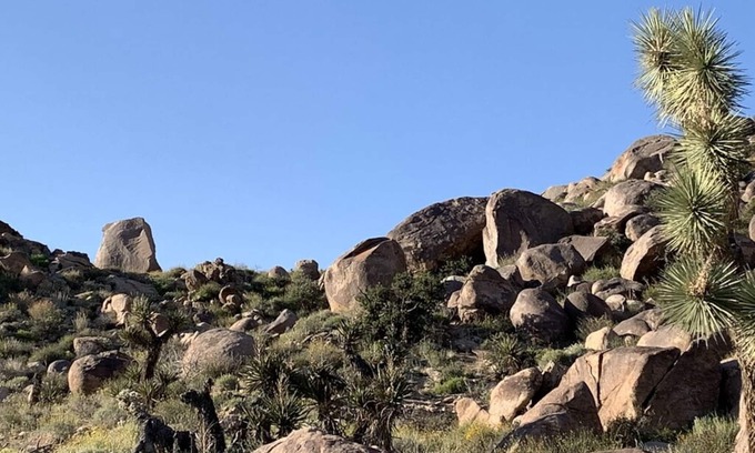 Joshua Tree Highlands House | šµ Rocky Ridge Retreat - Cozy & Colorful Home in Joshua Tree w/Hot Tub, Fire Pit & BBQ šµ