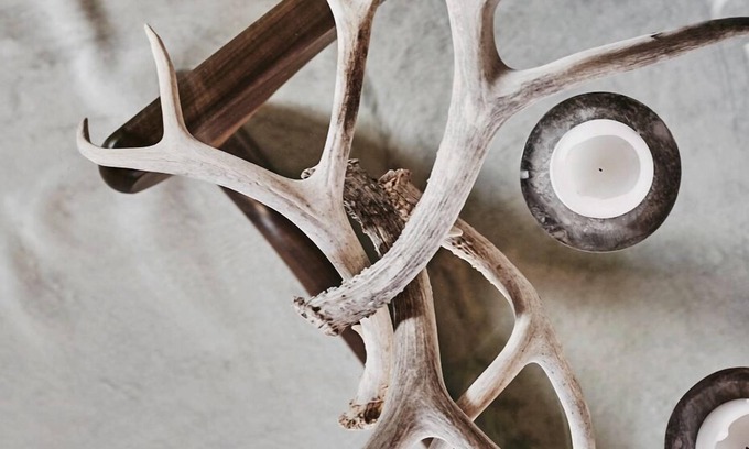 South Capitol House | Romantic Pied-à-Terre