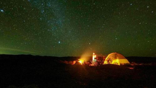 Witzenberg Other | Rooidakkies
