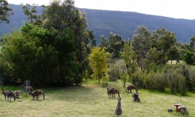 Halls Gap House | Roos with a View.