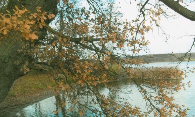 Prillwitz Apartment | Rosi's Apartment on the Lieps