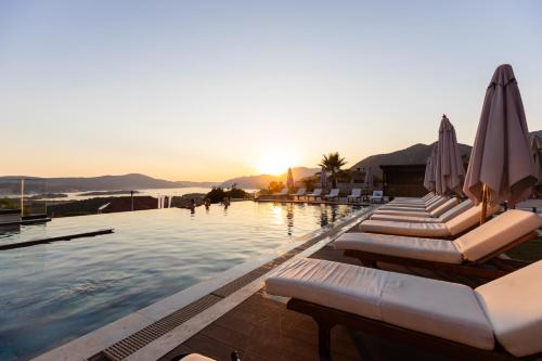 Kotor Hotel | Royal Blue Resort & Residences