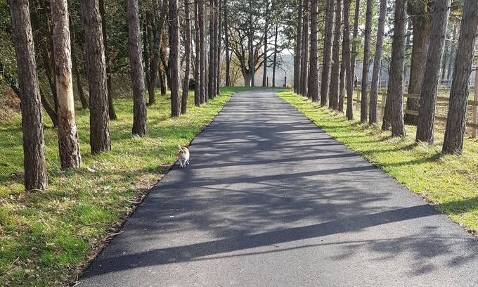 La Roche-Posay House | Rural cottage at 3. 5km from the spa