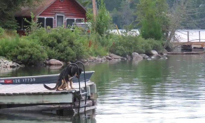 Sioux Narrows Nestor Falls Cabin | Rustic Log Cabin #8 on Crow Lake at Bull Moose Lodge. Family and pet friendly