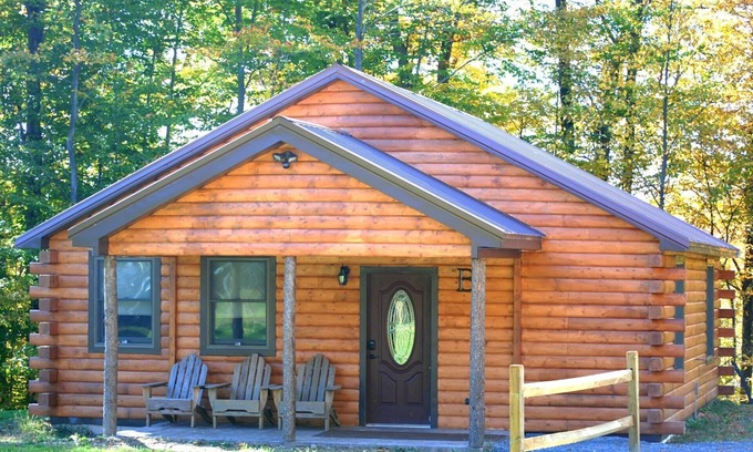 Romulus Cabin | Rustic yet Modern Log Cabin, Cayuga Wine Trail, Dog Friendly, Open Year Round