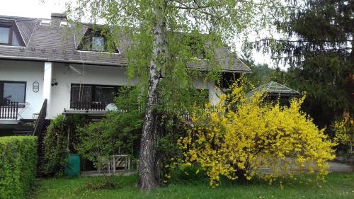 Paradfurdo Apartment | Sára Apartman Parádfürdő