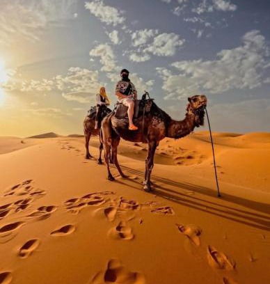 M'Hamid El Ghizlane Other | Sahara Bedouin camp