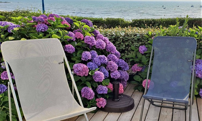 Saint-Pierre-Quiberon Apartment | Saint Pierre Quiberon - 2 rooms apartment - 63m² - sea view