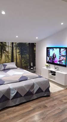 Stari Banovci Apartment | SAMITEST