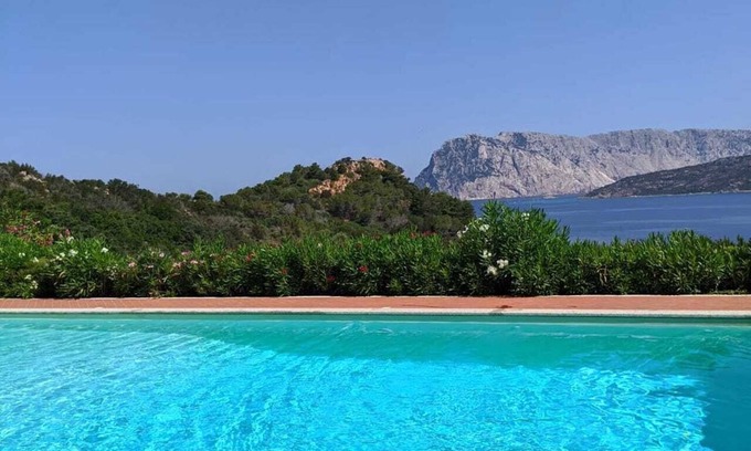 Capo Coda Cavallo Apartment | SAN TEODORO, PUNTA EST, MONOLOCALE VISTA MARE CON SOPPALCO