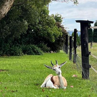 Magaliesberg House | Sanctuary life guest farm