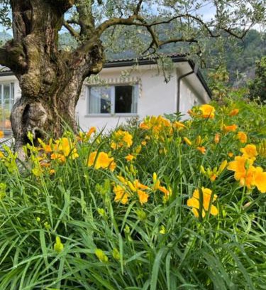 Tegna House | Sansoucis