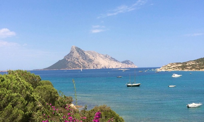 Tiriddo Villa | Sardinia Waterfront Villa 50 meters from the beach of Cala Girgolu.