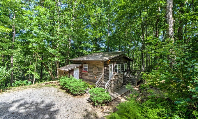 Stecoah Cabin | Screened Porch: ‘The Coop’ Robbinsville Cabin!