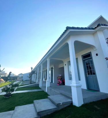 Cho Phuoc Hai Apartment | Sea Breeze Homestay - Phước Hải