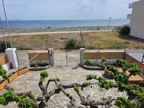 Ayia Anna House | Sea Lilly