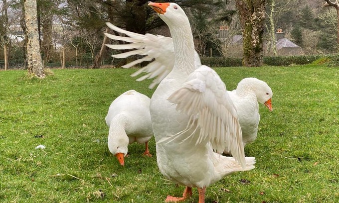 Valentia Island House | Seaside Cottage
