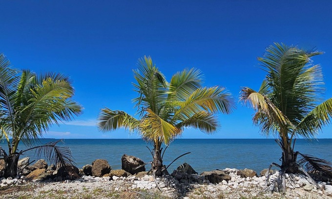 Descalabrado House | Seaside Serenity – Oceanfront Villa with Infinity Pool & Garden Sanctuary