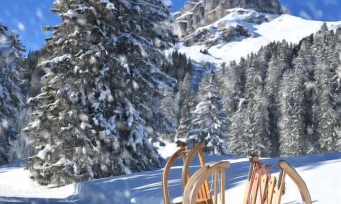 Davos-Dorf Apartment | Seewiese Apt. OG by Interhome