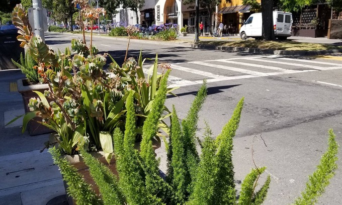 North Berkeley Hotel | Sens Hotel & Vanne Bistro Berkeley