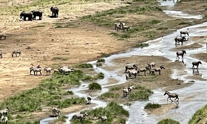 Moshi Other | SERE ADVENTURE SAFARI