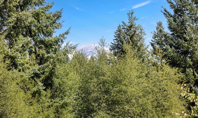 Husum House | Serene location, lawn games, private creek access, partial Mt. Adams view!