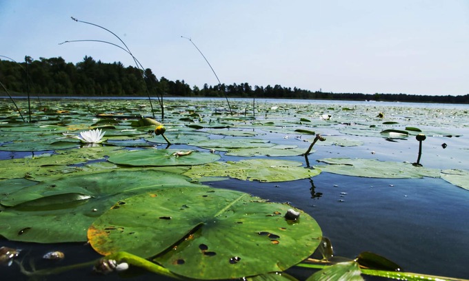 Nevis Cabin | Serenity Bay!