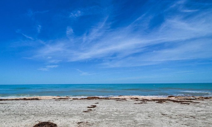 Belleair Beach Apartment | Sereno Del Sol 213 Beach Access at Sereno Del Sol 23154