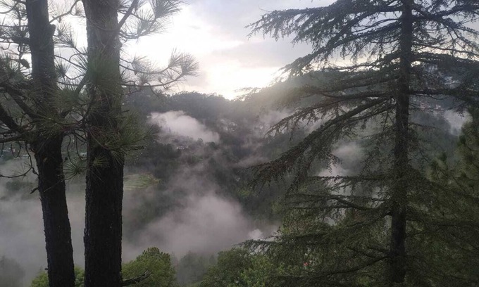 New Shimla Cottage | Shantivan.The hidden heaven