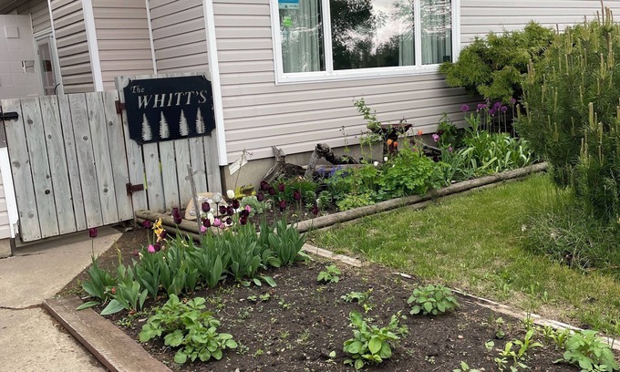 North Battleford House | Shared space quiet neighborhood bedroom/bath/living area with shared kitchen