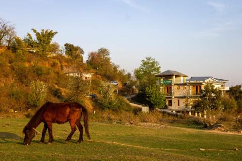 Sidhpur Bed & Breakfast | Shepherds Of Dharamshala