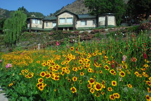 Nainital Resort | Shervani Hilltop Resort