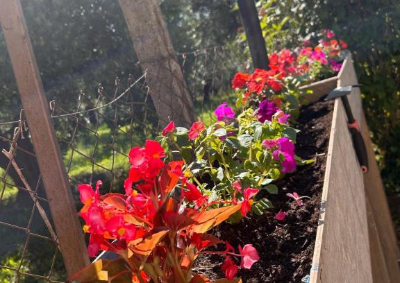 Paliano Villa | Sigma House.