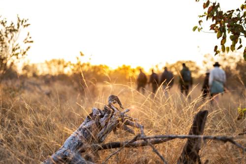 Kruger National Park Cabin | Simbavati Trails Camp