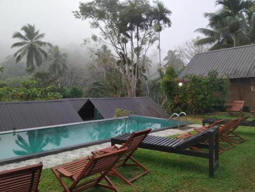 Kotapola Bed & Breakfast | Sinharaja Forest Sanctuary