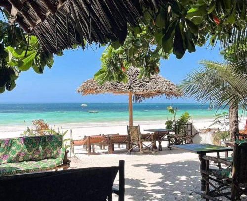 Kiwengwa Bed & Breakfast | Sipano Beach Lodge Kiwengwa