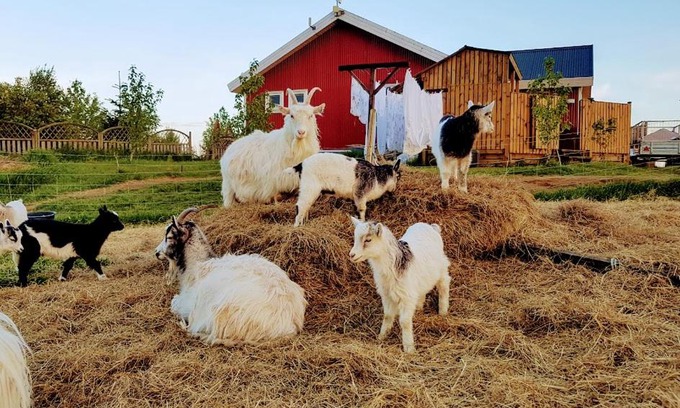 Selfoss House | Skálatjörn Guesthouse